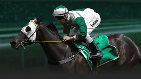 kaiyun·开云（中国）