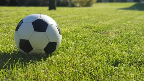 kaiyun·开云（中国）