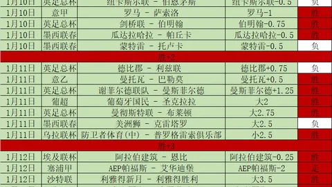 嵩山龙门1-0胜武汉队存疑争议，多拉多进球存疑，约尼奇进球被判无效